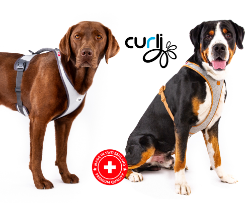 Амуниция для больших собак: Alpine и Reflective.